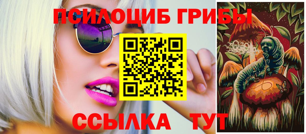 Псилоцибиновые грибы MAGIC MUSHROOMS  Вход с VPN  Кохма  Галлюциногенные грибы Psilocybe 